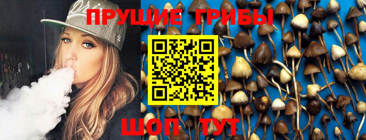 Псилоцибиновые грибы мухоморы  Галлюциногенные грибы Psilocybine cubensis  Когалым  Вход с VPN 